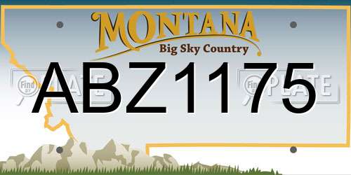 ABZ1175 Montana License Plate