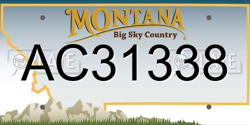 AC31338 Montana License Plate