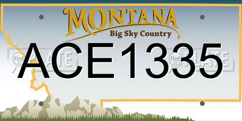 ACE1335 Montana License Plate