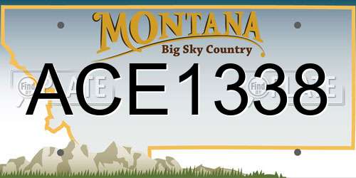 ACE1338 Montana License Plate
