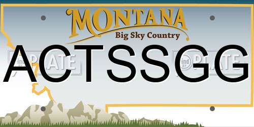 ACTSSGG Montana License Plate