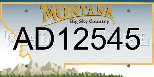 AD12545 Montana License Plate