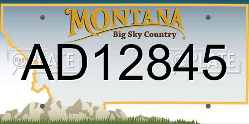 AD12845 Montana License Plate