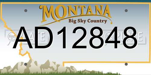 AD12848 Montana License Plate