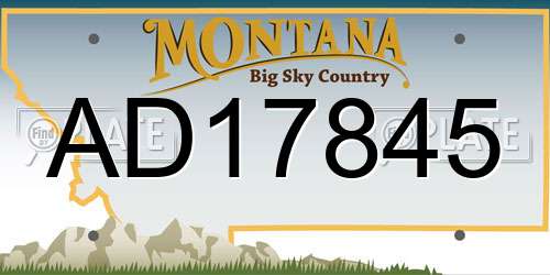 AD17845 Montana License Plate