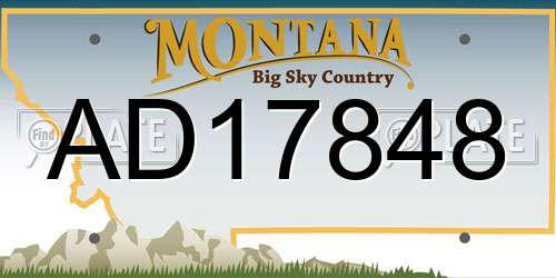 AD17848 Montana License Plate