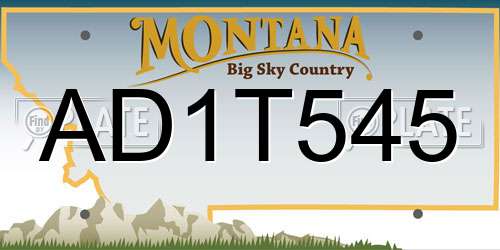 AD1T545 Montana License Plate