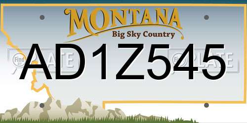 AD1Z545 Montana License Plate