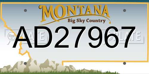 AD27967 Montana License Plate