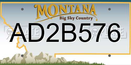 AD2B576 Montana License Plate