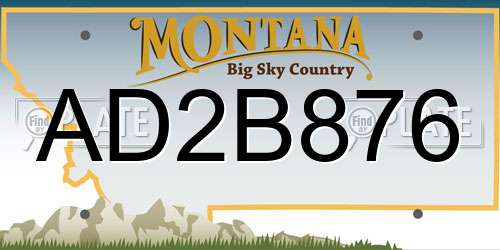 AD2B876 Montana License Plate
