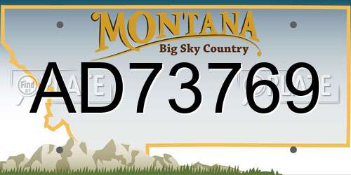 AD73769 Montana License Plate