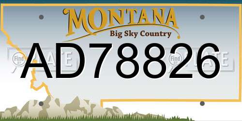 AD78826 Montana License Plate