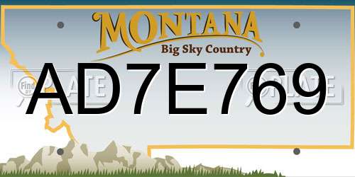 AD7E769 Montana License Plate