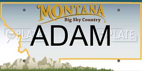ADAM Montana License Plate