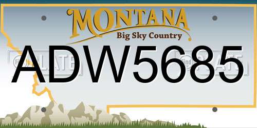 ADW5685 Montana License Plate