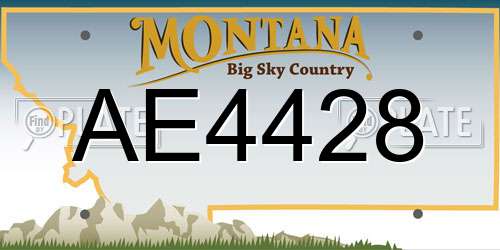 AE4428 Montana License Plate