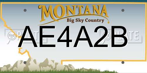 AE4A2B Montana License Plate