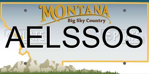 AELSSOS Montana License Plate