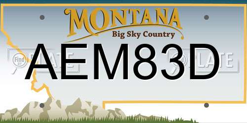 AEM83D Montana License Plate