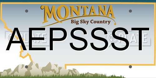 AEPSSST Montana License Plate