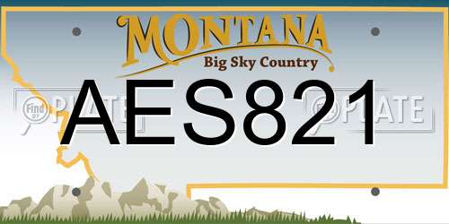 AES821 Montana License Plate
