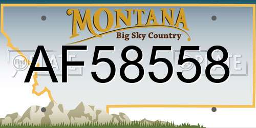AF58558 Montana License Plate