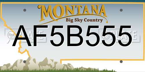 AF5B555 Montana License Plate