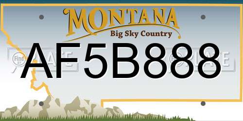 AF5B888 Montana License Plate