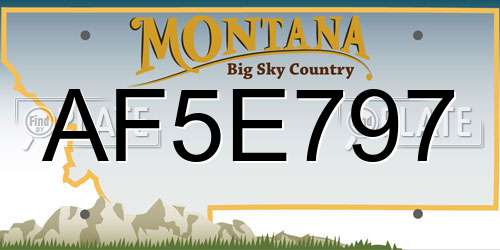 AF5E797 Montana License Plate