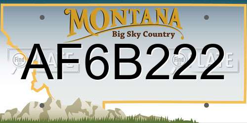 AF6B222 Montana License Plate