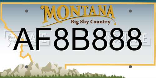 AF8B888 Montana License Plate