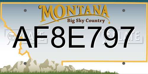 AF8E797 Montana License Plate