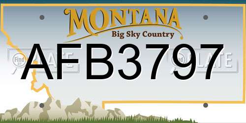 AFB3797 Montana License Plate