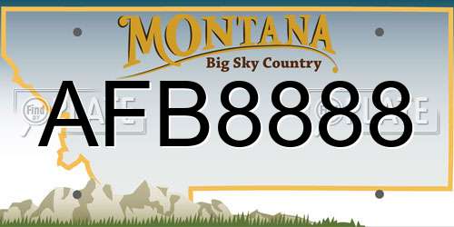 AFB8888 Montana License Plate