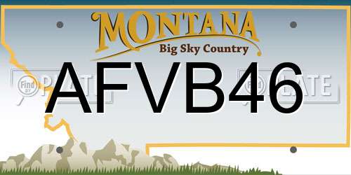 AFVB46 Montana License Plate