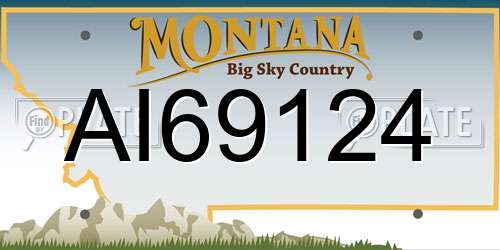 AI69124 Montana License Plate