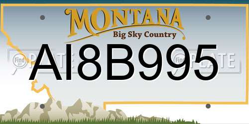 AI8B995 Montana License Plate