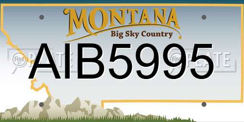 AIB5995 Montana License Plate