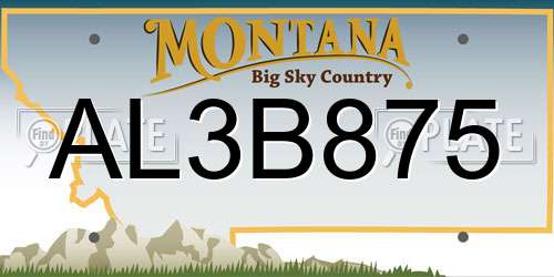 AL3B875 Montana License Plate