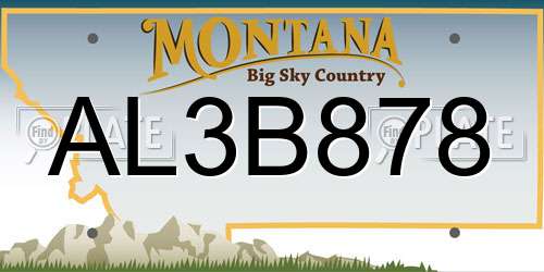 AL3B878 Montana License Plate