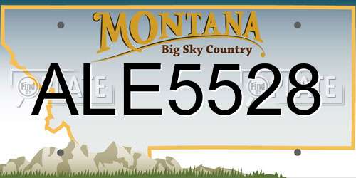 ALE5528 Montana License Plate