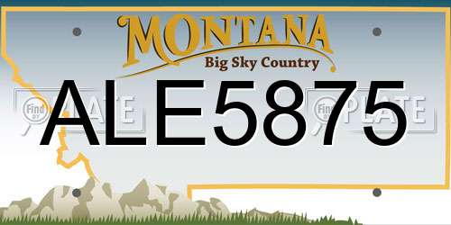 ALE5875 Montana License Plate