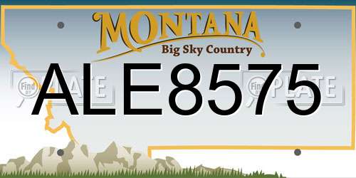 ALE8575 Montana License Plate