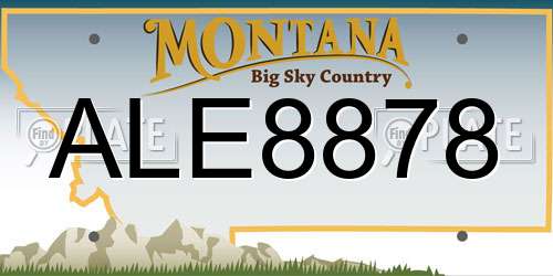 ALE8878 Montana License Plate