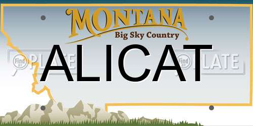 ALICAT Montana License Plate