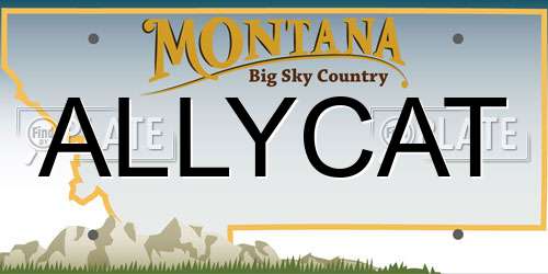 ALLYCAT Montana License Plate