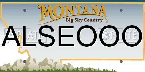 ALSEOOO Montana License Plate