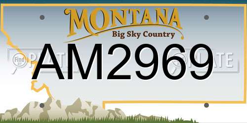 AM2969 Montana License Plate
