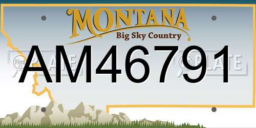 AM46791 Montana License Plate